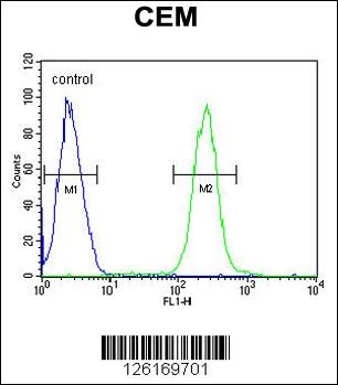 ATP6V0A4 Antibody