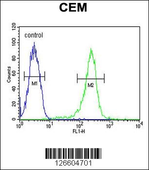 HAUS5 Antibody