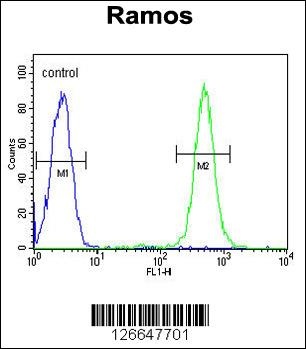 EMC10 Antibody
