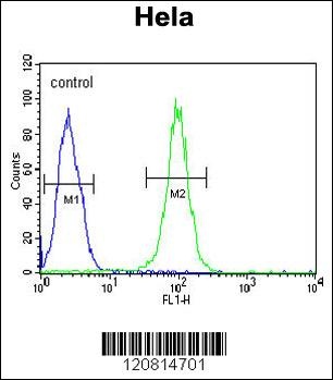 HSPA5 Antibody