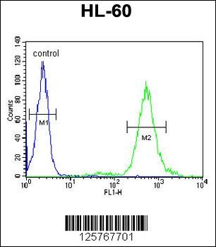 KIAA0922 Antibody