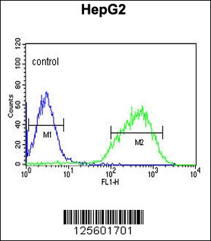 HIST1H2AG Antibody