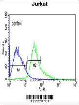 ATF1 Antibody