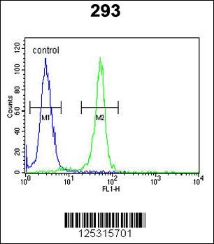 RRS1 Antibody