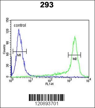 PRDX6 Antibody