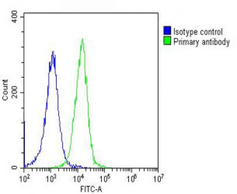 PFN1 Antibody