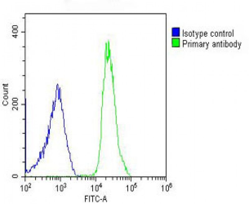 TPRA1 Antibody