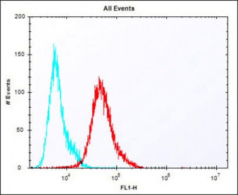 Mouse Pbk Antibody