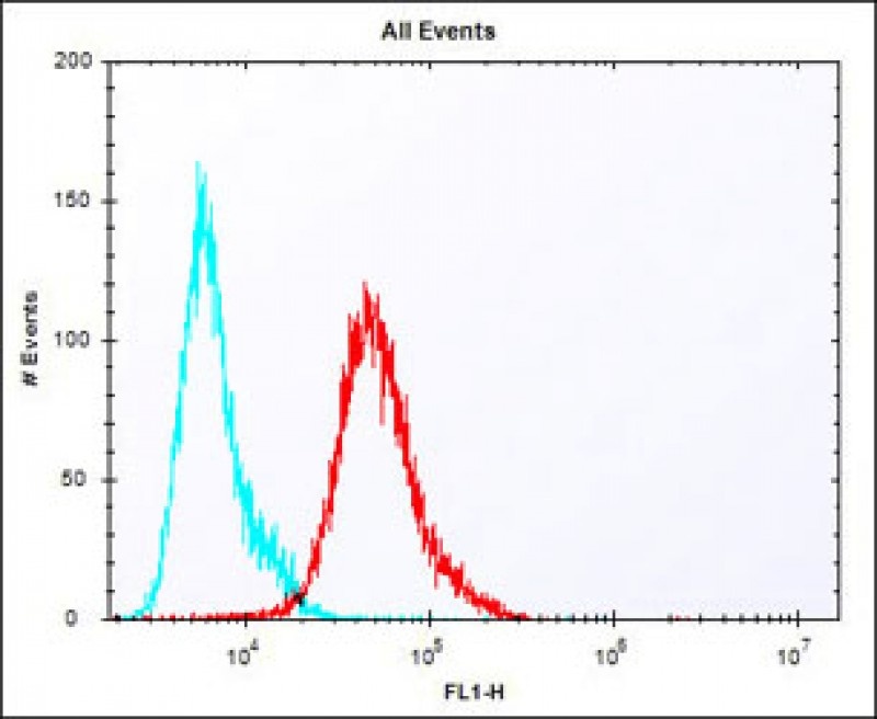 Pbk Antibody