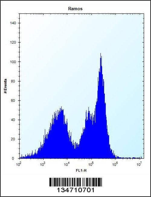 ZAP70 Antibody