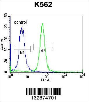 PSORS1C1 Antibody