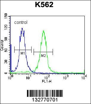 SP6 Antibody