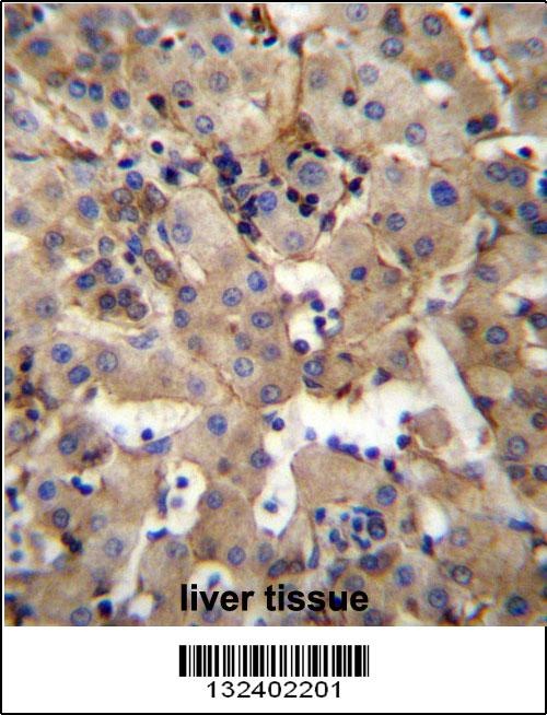 SGPL1 Antibody