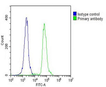 MDM2 Antibody