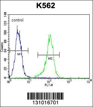 LIPC Antibody