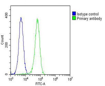 SMPD1 Antibody