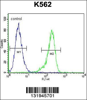 RPS19 Antibody