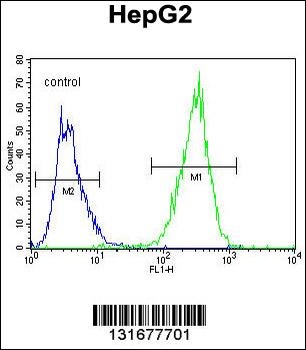 PPARD Antibody