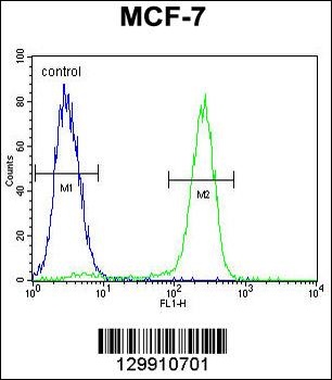 OTOP3 Antibody