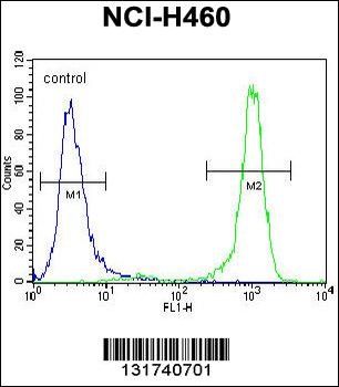 CHRND Antibody