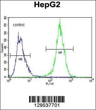MRFAP1L1 Antibody