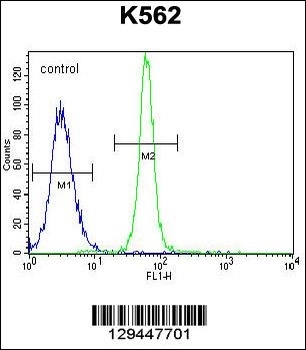 LRIT1 Antibody