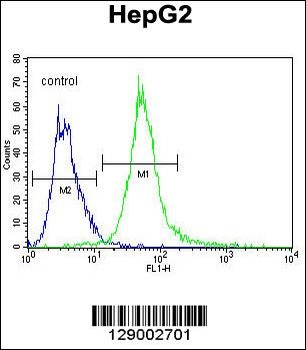 SPDYE1 Antibody