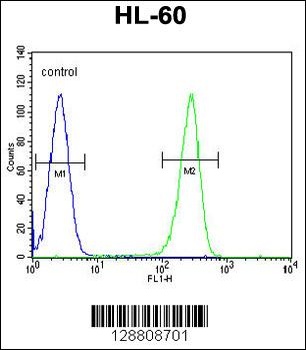 OR2W3 Antibody