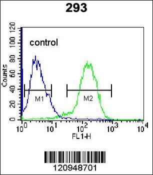 ENG Antibody