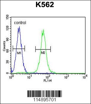 AASS Antibody