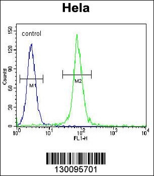 ADO Antibody