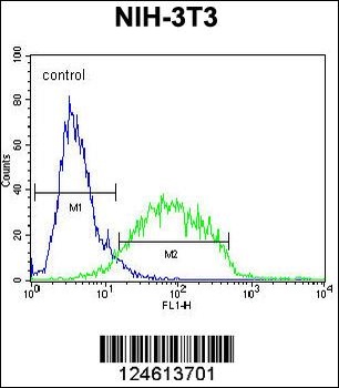 GCNT3 Antibody