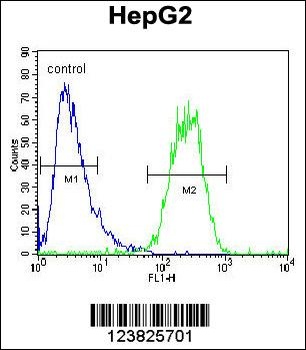 SEC13 Antibody