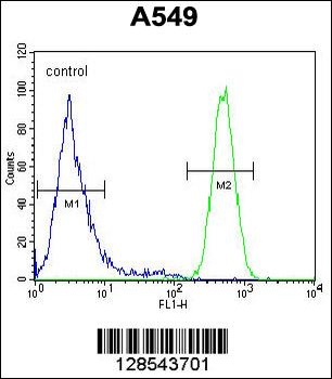 EPAS1 Antibody