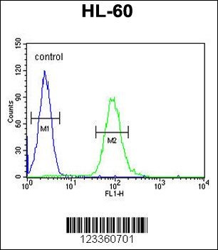 CSF2 Antibody