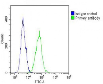 IL12_2 Antibody