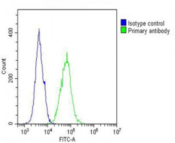 IL12RB2 Antibody