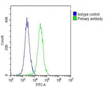 ARV1 Antibody