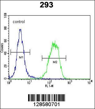 C1QTNF9B-AS1 Antibody