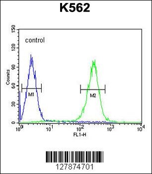 ZNF517 Antibody