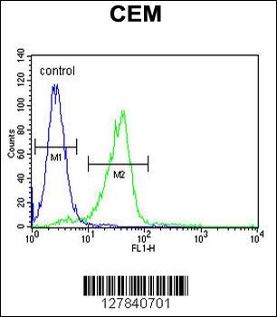 C11orf74 Antibody