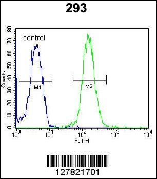 ZBTB10 Antibody
