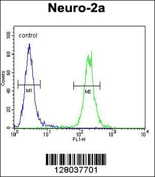 SCARF2 Antibody
