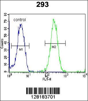 ZNF780A Antibody