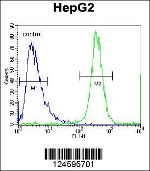 FBXO2 Antibody