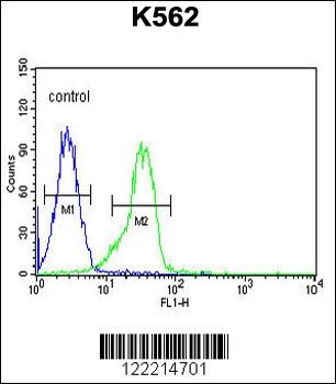 FAM155A Antibody