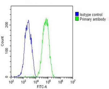 AHSG Antibody