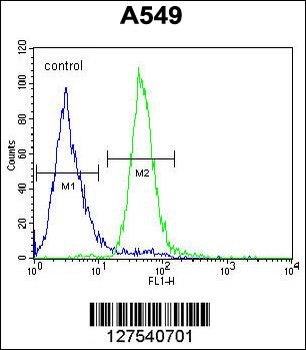 C15orf39 Antibody