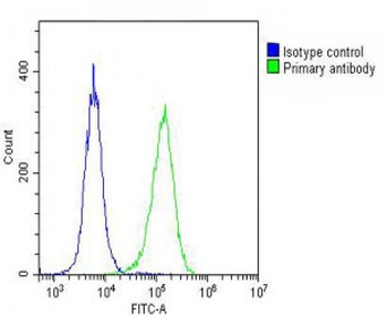DEPD5 Antibody