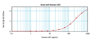 HLEC Antibody